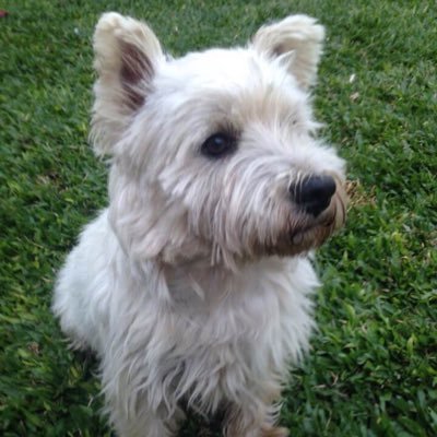 Informático .cantante .Sueño con una argentina Justa y grande que incluya desde la educación y que trabaje por el bien común. bloqueo gente que insulta .