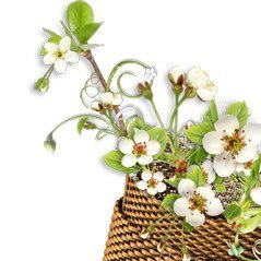 suzuky2018's profile picture. ٠٥٩٣٠٩٥٤٦١