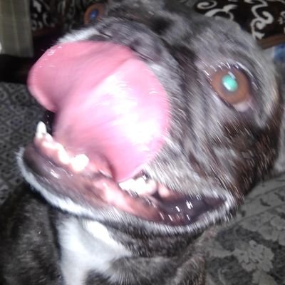 2424happytiyan's profile picture. レモンチューハイ大好き人間でございます。
趣味は魚釣りなど、多趣味で浅く広くみたいな、特に強いこだわりは無いですよ😃お気軽な生き方を目指してる感じなおっさんです。