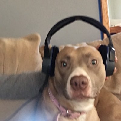 Austin16748864's profile picture. https://t.co/o2RUICC79Z new sub emotes and points earned in chat self promotion welcome in chat