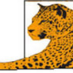 Florida Teaching Zoo (@zooschool) Twitter profile photo