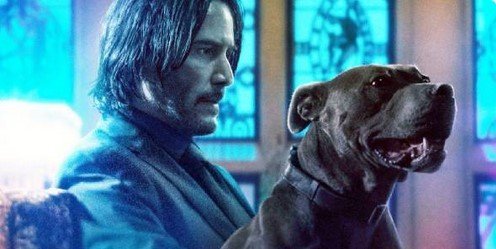 John Wick: Chapter 3 Watch Full Movie Free Online
#JohnWickfull