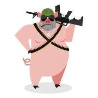 zErdo (@zerdopubg) 's Twitter Profile
