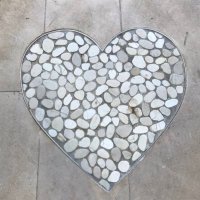 Judy Queally (@queallyjudy) 's Twitter Profile Photo Judy Queally (@queallyjudy) 's Twitter Profile Photo