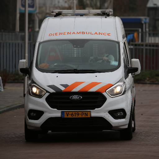 Hulp aan gevonden, zieke en gewonde dieren in Den Haag, Leidschendam/Voorburg, Rijswijk, Zoetermeer, Pijnacker-Nootdorp en Wassenaar. Meldingen: 070 3282828