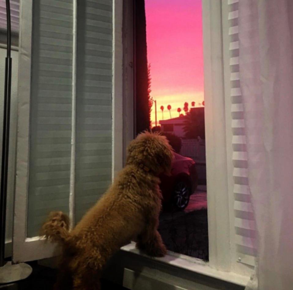 alice09926547's profile picture. 