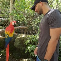 Halim Khoury (@halimkhoury) 's Twitter Profile