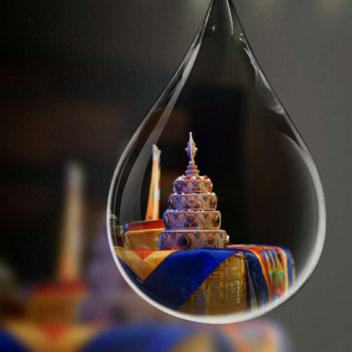 DavidWu42980248's profile picture. 