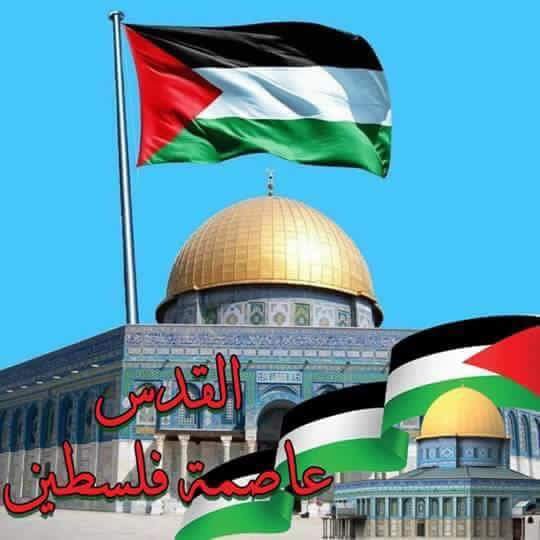 redflowermine's profile picture. 