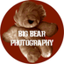 Big Bear Photography Brighton (@BigBearPhotos11) Twitter profile photo