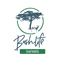 Vundu Camp - Bushlife Safaris (@bushlifesafaris) 's Twitter Profile Photo