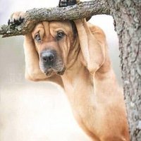 urbanwatchKe (@urbanwatchk) 's Twitter Profile