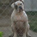 Rich Foreman - @USParrot_Rescue - Twitter