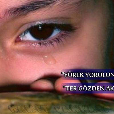 hamit_cankaya's profile picture. https://t.co/4mnlndmf9m