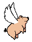 The JOK Chasing Sprint is fun fast furious head-to-head navigation racing, for the famous Flying Pig trophies.