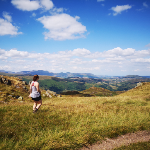 Hereid2's profile picture. 