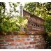 MarinArt&GardenCtr (@magcmarin) Twitter profile photo MarinArt&GardenCtr (@magcmarin) Twitter profile photo