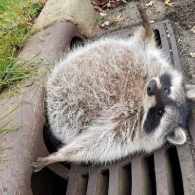 miiiiinds's profile picture. 