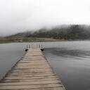 elvis peña - @Elvispineda - Twitter