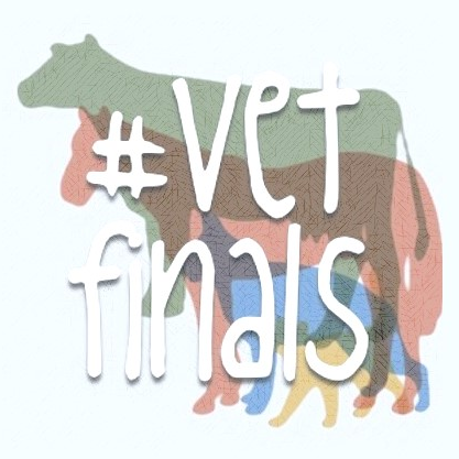 The Award Winning #VetFinals - free interactive veterinary revision sessions for vet and VN students, helping them revise. Founders @mossposs, @mwhiting81