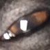 Andy Jointwant (@jointwant) Twitter profile photo Andy Jointwant (@jointwant) Twitter profile photo