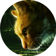 IncorrectWaCa's profile picture. Incorrect Warrior Cats Quotes  | Admin @R0seruu (Suggestions open via DM) #WarriorCats