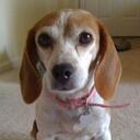 Deb White - @DrDebWhite - Twitter