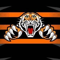TIGERS BALL HOCKEY (@tigersbhc) 's Twitter Profile