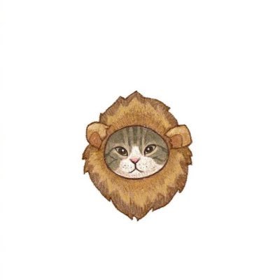 aA0HppcUfv6yxgF's profile picture. 한국에서만 거래합니다ㅠㅠ영어English❌