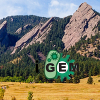 CU Boulder iGem (@cuboulder_igem) 's Twitter Profile