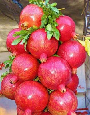 3VsMKAwjie37FSs's profile picture. 