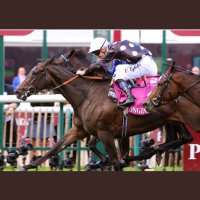 Freddy Tylicki (@freddytylicki) 's Twitter Profile Photo Freddy Tylicki (@freddytylicki) 's Twitter Profile Photo