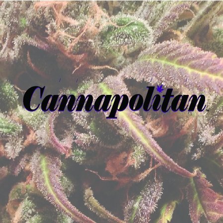 Cannapolitan is dedicated to a higher standard of sophistication for the cannabis enthusiast and lifestyle.  Are you Cannapolitan? Find out by visiting our site