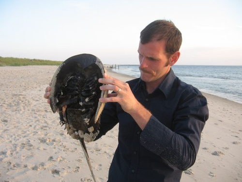 Mikedgentile's profile picture. 