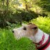 ๐ Freckles Chimes ๐ (@freckleschimes) Twitter profile photo ๐ Freckles Chimes ๐ (@freckleschimes) Twitter profile photo