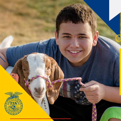 alexmcf2135's profile picture. 