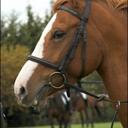 Jenny Butcher - @Jenny_kirstyBee - Twitter