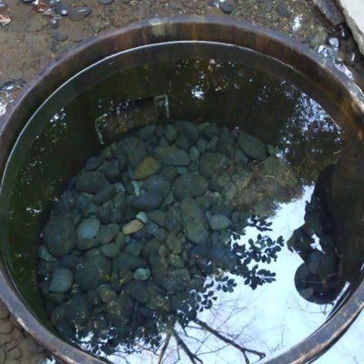 投資が趣味になってきた。やり出すと止まらない。 ウイスキーの収集は控えめに。まずは回転用資金(200)を増やすことが目標。