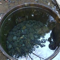 ゆんける⭐️ (@yomo3yomo3) 's Twitter Profile