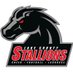 LakeCountyStallions (@lcstallions) Twitter profile photo LakeCountyStallions (@lcstallions) Twitter profile photo