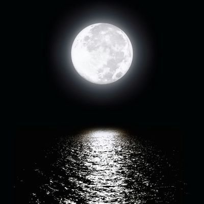 andyhercen's profile picture. 