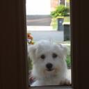 Yooha Kim - @Mambolubber - Twitter