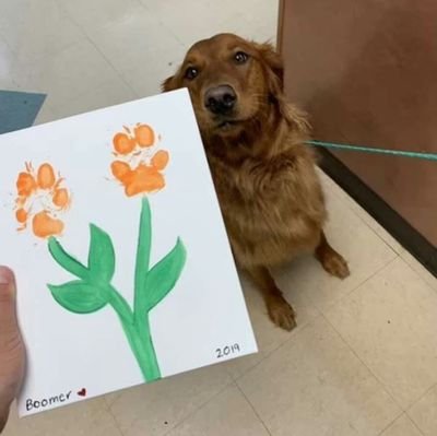 JuanAncho3's profile picture. 😊🎶🎵😎