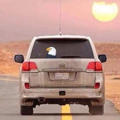 wesammohmed4's profile picture. ههههههههه