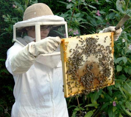 A_Busy_Bee's profile picture. Keeping bees and making honey.