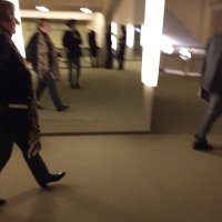 gemuesens (@gemuesens) 's Twitter Profile