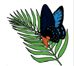 AtalaMontessori's profile picture. We are a private arts-based Montessori school located in Homestead, Florida. Come check us out!