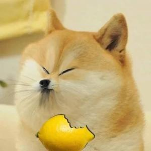 Valiant_Blaze_'s profile picture. Chickity China the Chinese chicken you have a drumstick and your brain stops tickin