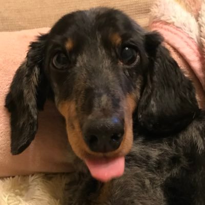 *ゆいまま* さんのプロフィール写真