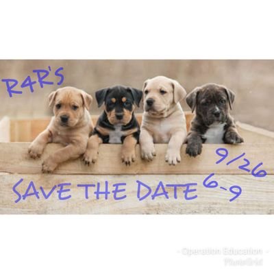 EMAIL opedanimalrescue@gmail.com Operation Education Animal Rescue Annual Rockin 4 Rescue September 26th 2019 6-9pm